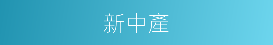 新中產的同義詞