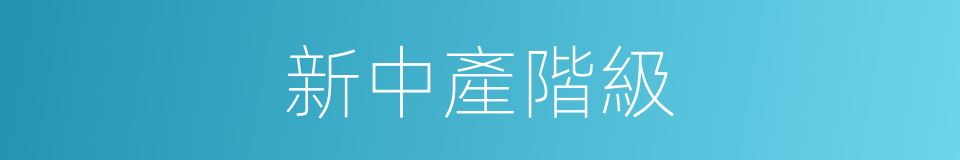 新中產階級的意思