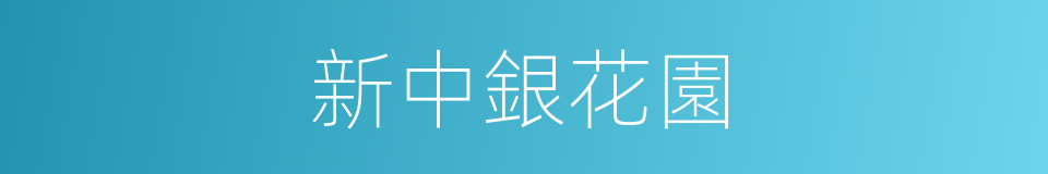 新中銀花園的同義詞