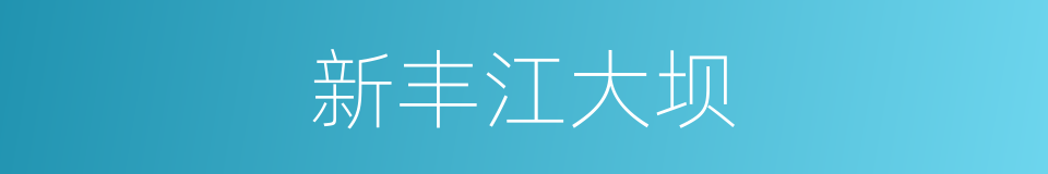 新丰江大坝的同义词