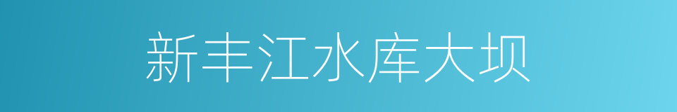新丰江水库大坝的同义词