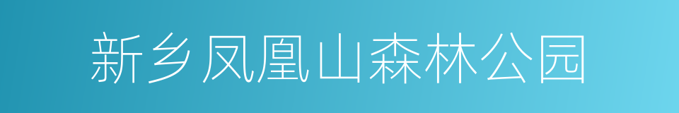 新乡凤凰山森林公园的同义词