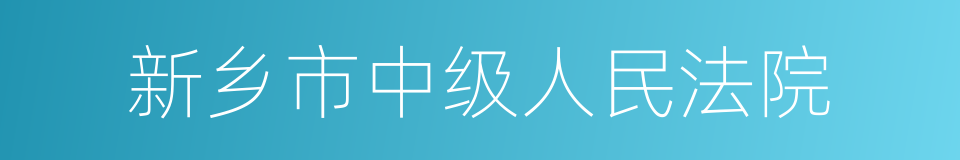 新乡市中级人民法院的同义词