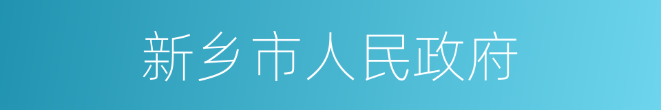 新乡市人民政府的同义词