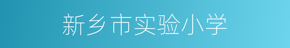 新乡市实验小学的同义词