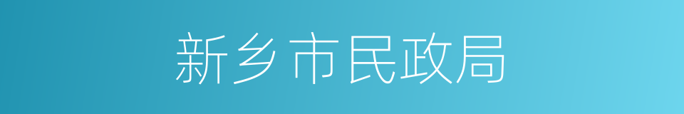 新乡市民政局的同义词