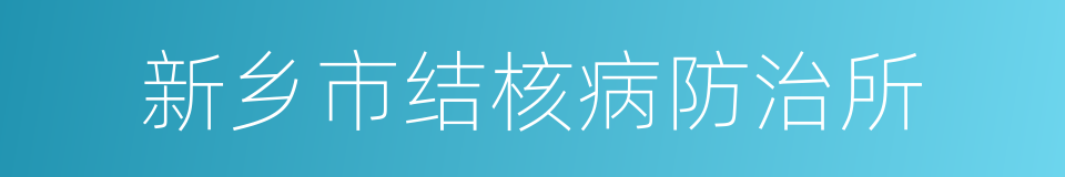 新乡市结核病防治所的同义词