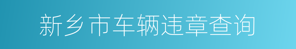 新乡市车辆违章查询的同义词