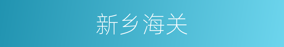 新乡海关的同义词