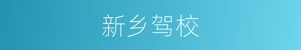 新乡驾校的同义词