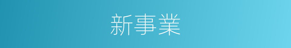 新事業的同義詞