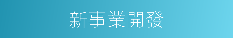 新事業開發的同義詞