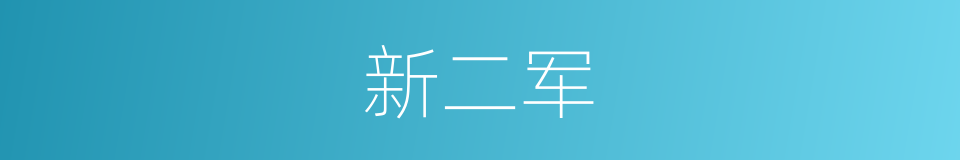 新二军的同义词
