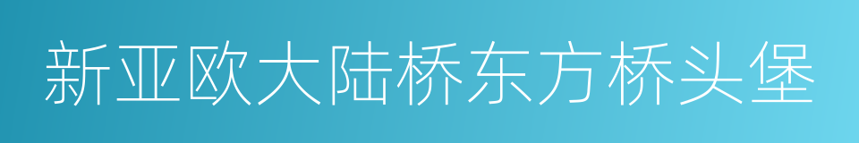 新亚欧大陆桥东方桥头堡的同义词