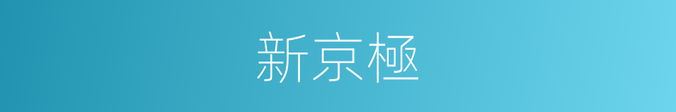 新京極的同義詞