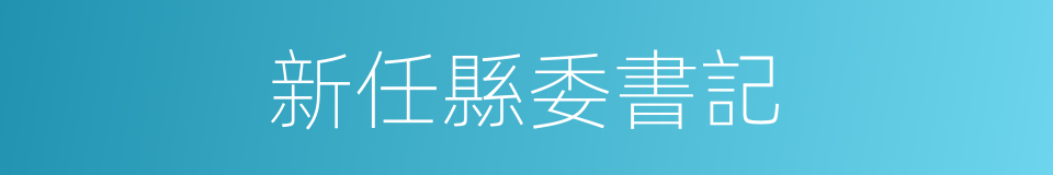 新任縣委書記的同義詞