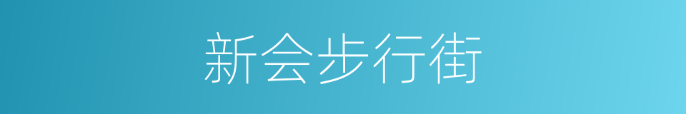 新会步行街的同义词