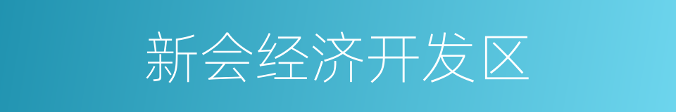 新会经济开发区的同义词