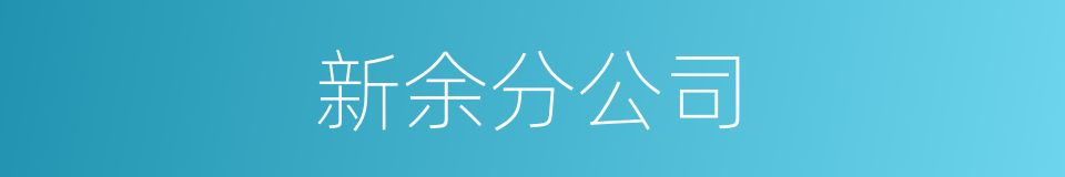 新余分公司的同义词