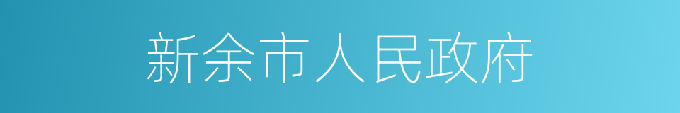 新余市人民政府的同义词