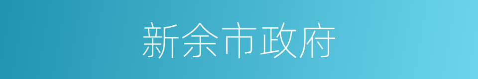 新余市政府的同义词