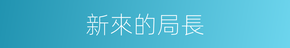 新來的局長的同義詞