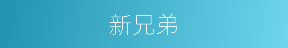 新兄弟的同义词