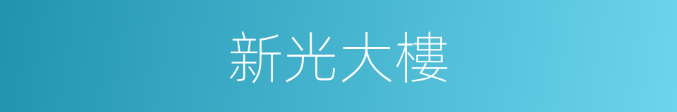 新光大樓的同義詞