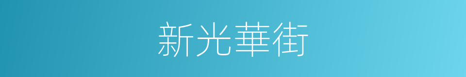 新光華街的同義詞