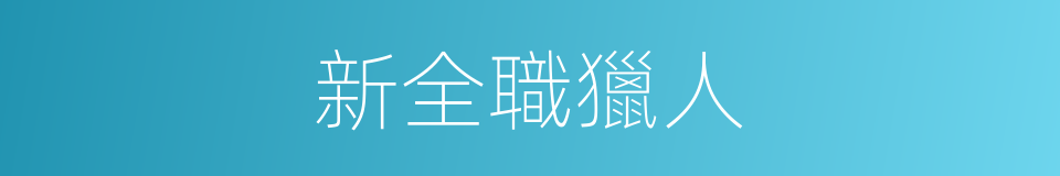 新全職獵人的同義詞