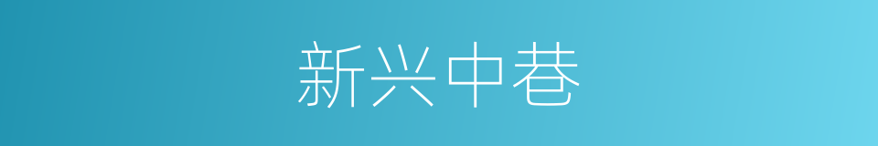 新兴中巷的同义词