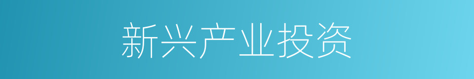 新兴产业投资的同义词