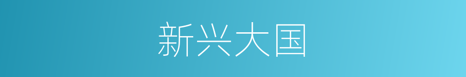新兴大国的同义词