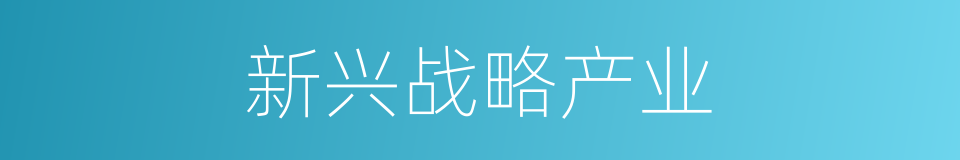 新兴战略产业的同义词