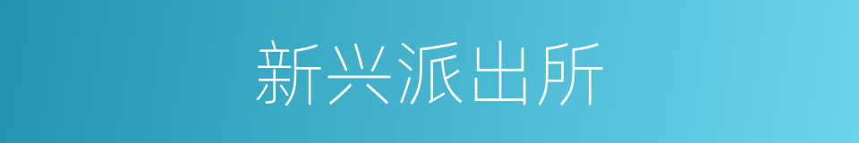 新兴派出所的同义词