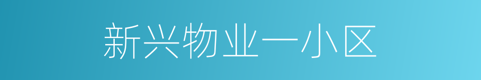 新兴物业一小区的同义词