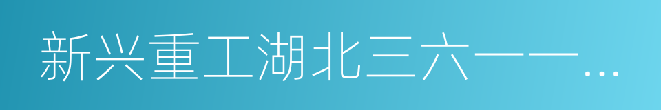 新兴重工湖北三六一一机械有限公司的同义词