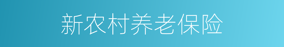 新农村养老保险的同义词