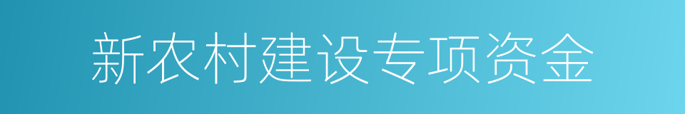 新农村建设专项资金的同义词