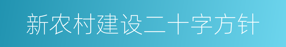 新农村建设二十字方针的同义词