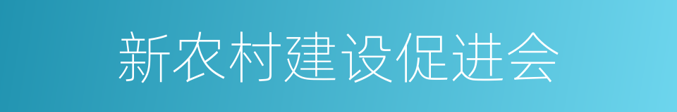 新农村建设促进会的同义词
