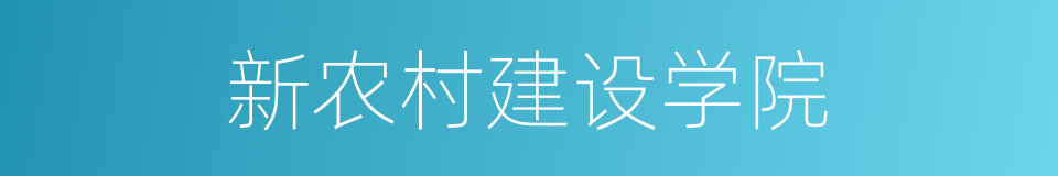 新农村建设学院的同义词