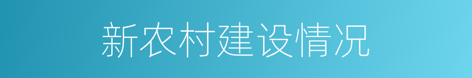 新农村建设情况的同义词