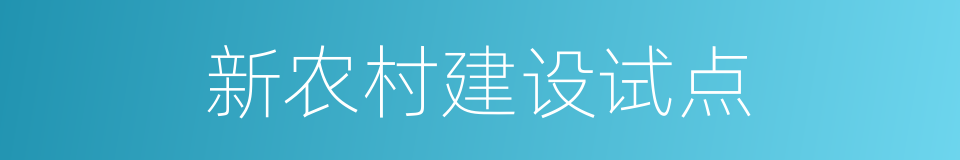 新农村建设试点的同义词