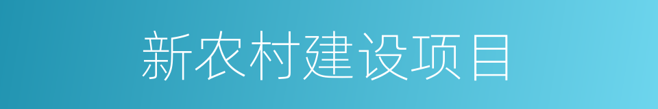 新农村建设项目的同义词