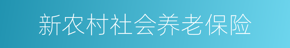 新农村社会养老保险的同义词