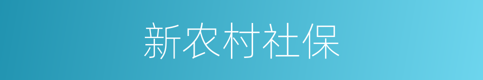 新农村社保的同义词