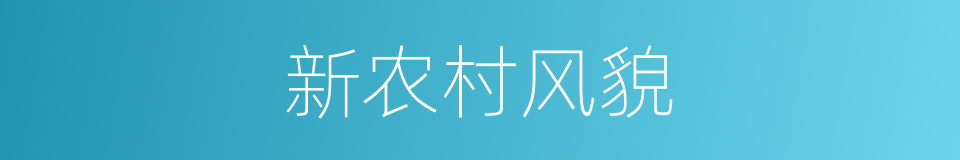 新农村风貌的同义词