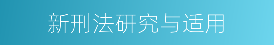 新刑法研究与适用的同义词