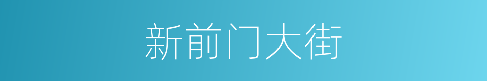 新前门大街的同义词